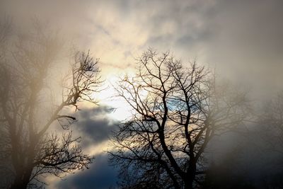 Low angle view of bare tree against sky during sunset