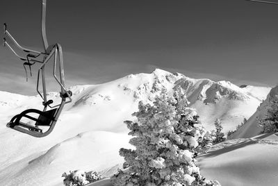 Snow covered plants against mountains