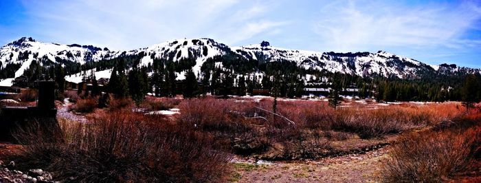 mountain