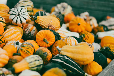 Close-up of pumpkins for sale in market