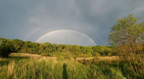Scenic view of rainbow over trees on field against sky