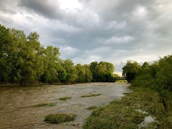 Scenic view of river amidst trees against sky