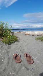 Scenic view of beach against cloudy sky
