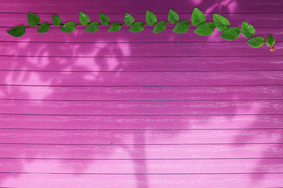 High angle view of text on pink table