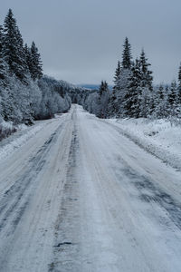 Road amidst snow covered trees against sky