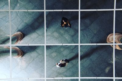 High angle view of people on floor