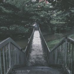 Footbridge in forest