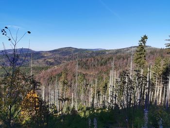 Scenic view of landscape against clear blue sky