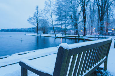 Snow covered railing by trees