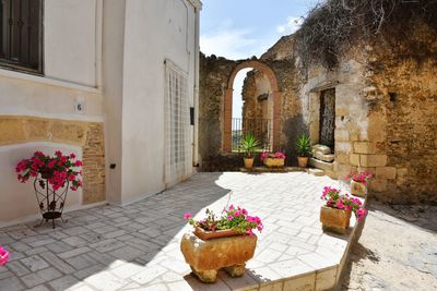 A narrow street among the old houses of irsina in basilicata, region in southern italy.