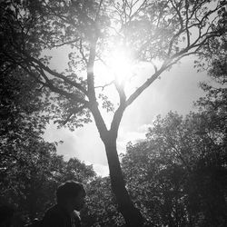 Low angle view of silhouette tree against sky