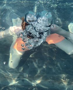 High angle view of fish swimming in sea