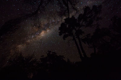 Low angle view of silhouette trees against sky at night