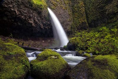 Waterfall in forest