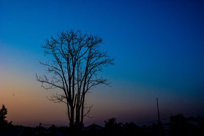 Silhouette tree against clear sky at sunset