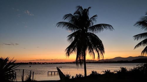 Silhouette palm trees on beach against sky during sunset