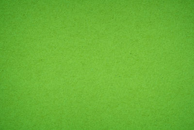 Full frame shot of green textured surface