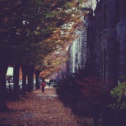 walking