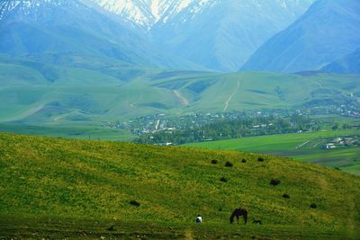 Landscape with mountain in background