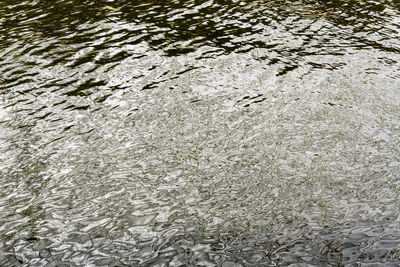 High angle view of rippled water