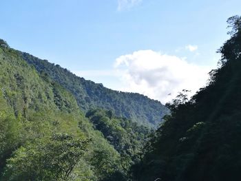 Low angle view of mountain against sky