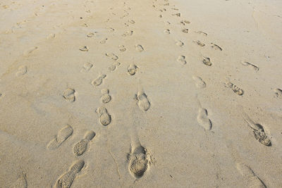 High angle view of footprints on sand at beach