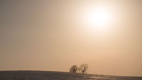 Scenic view of landscape against clear sky at sunset