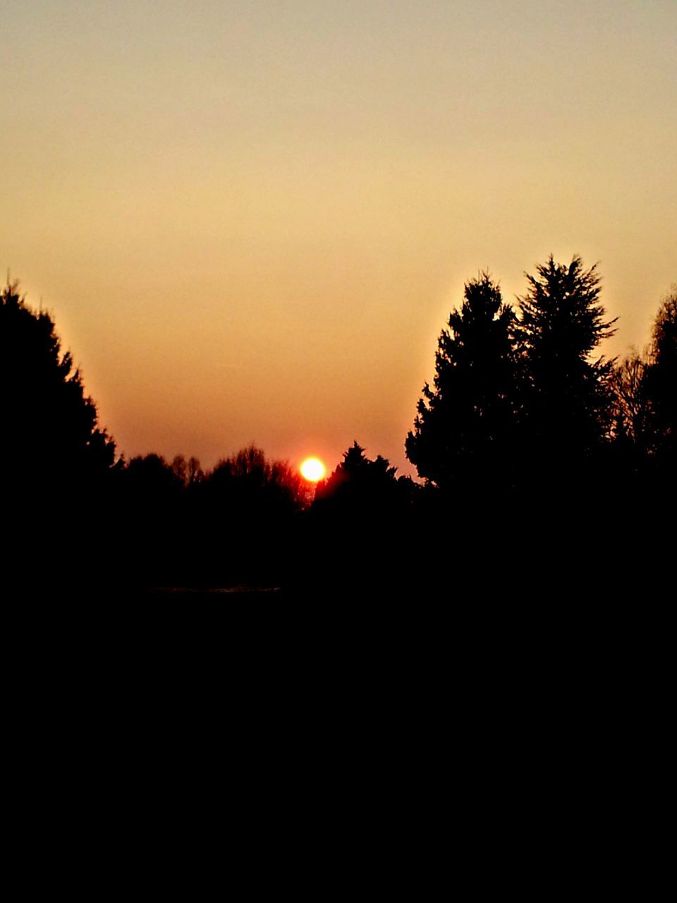 sunset, silhouette, tree, copy space, tranquil scene, tranquility, scenics, beauty in nature, orange color, clear sky, nature, idyllic, sky, dark, landscape, sun, outline, outdoors, no people, growth