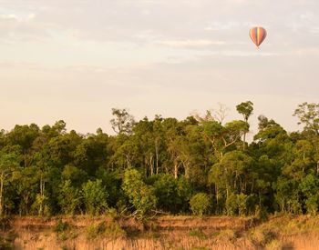 View of hot air balloons on field against sky
