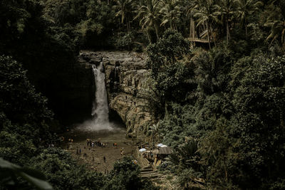 View of waterfall in forest