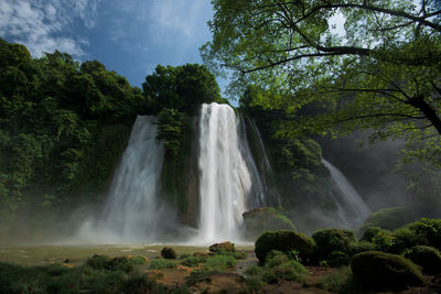 Scenic view of waterfall in forest