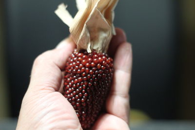 Close-up of hand holding strawberry