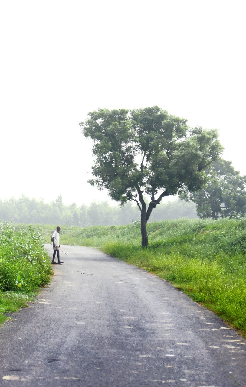 REAR VIEW OF MAN WALKING ON ROAD AMIDST TREES