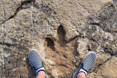 Low section of person standing on rock