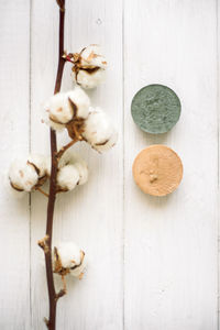 High angle view of mushrooms on white table