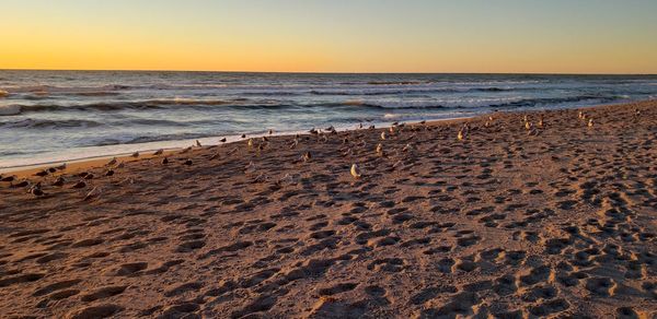 Scenic view of beach against sky during sunset