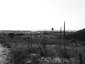 Scenic view of field against clear sky