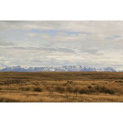 Scenic view of landscape against cloudy sky