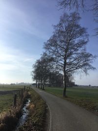 Road amidst trees on field against sky