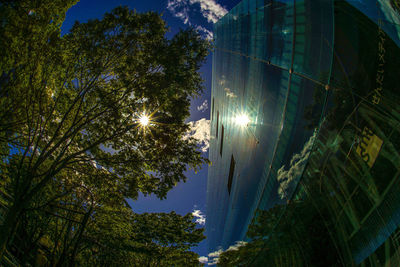 Low angle view of trees against sky on sunny day