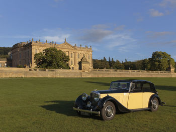 Vintage car on park against sky