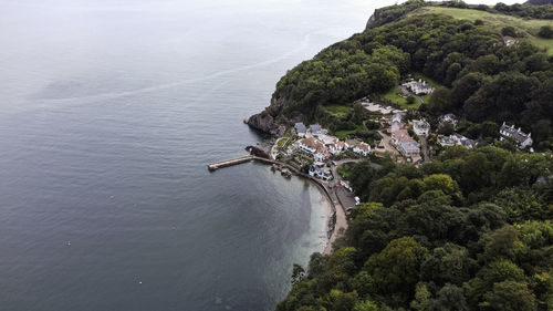 High angle view of trees by sea