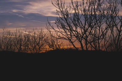 Silhouette bare trees on landscape against sky at sunset