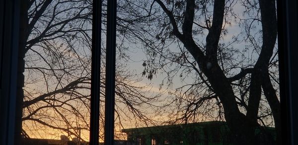 Silhouette bare trees against sky at sunset