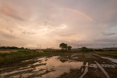 Scenic view of rainbow over landscape against sky