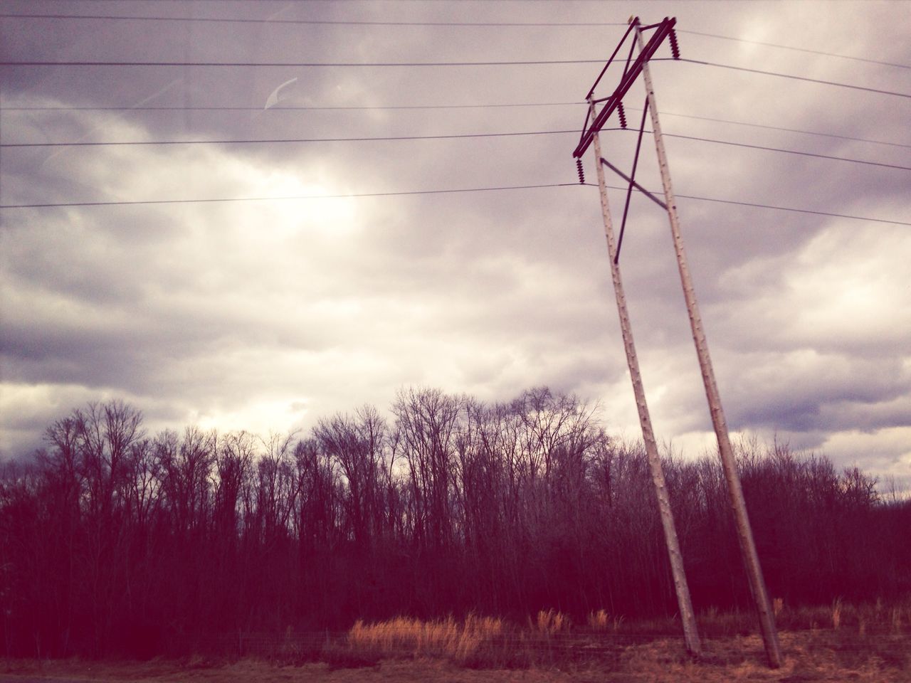 tree, sky, cloud - sky, electricity pylon, power line, low angle view, electricity, bare tree, fuel and power generation, cloudy, power supply, tranquility, silhouette, cable, tranquil scene, cloud, nature, technology, connection, weather