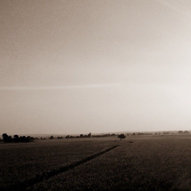 copy space, landscape, field, clear sky, tranquil scene, tranquility, rural scene, scenics, nature, agriculture, horizon over land, beauty in nature, sky, no people, outdoors, remote, solitude, farm, non-urban scene, road