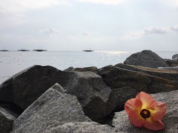 Close-up of sea against sky