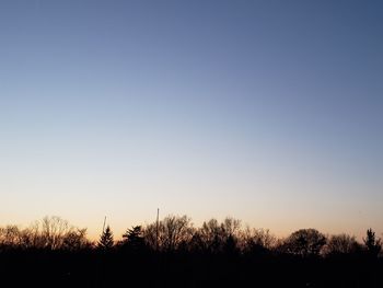 Silhouette trees on field against clear sky during sunset