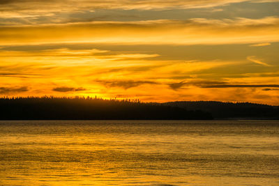 Deep golden sunset over the puget sound.